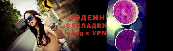 твердый Иннополис