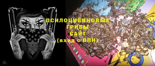 молекула духа Зеленокумск