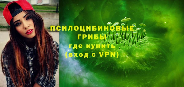 МДПВ Инта
