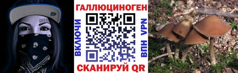 Купить закладки  Изобильный  Галлюциногенные грибы Psilocybe 